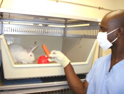 man feeding rabbit