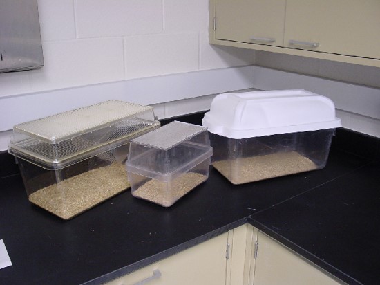 animal enclosures