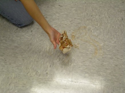 cleaning mess off floor