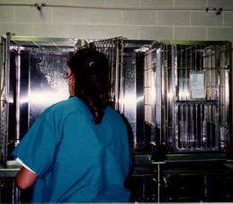 lab technician