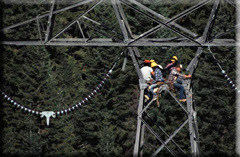 aerial electrical workers