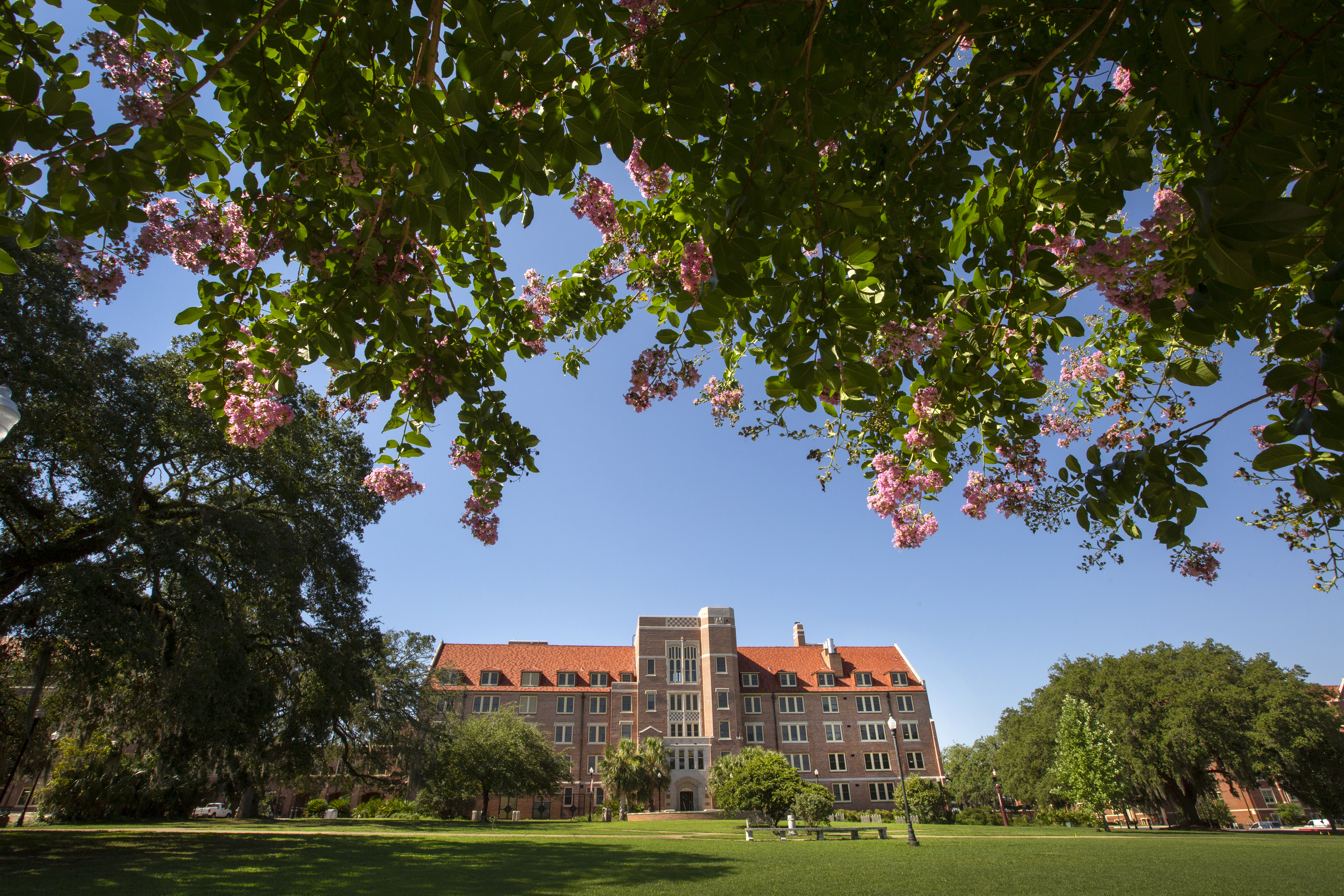 Landis Hall, located at the center of campus on Landis Green opposite Strozier Library, was originally built in 1939.