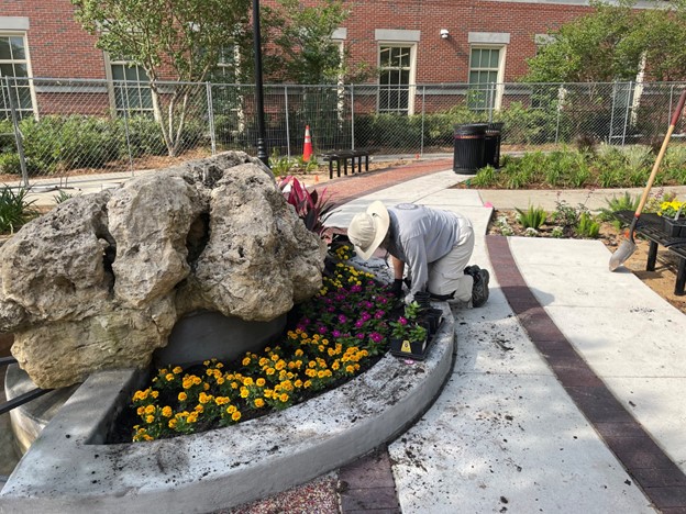 A Growing Legacy: FSU College of Medicine Chapman Garden