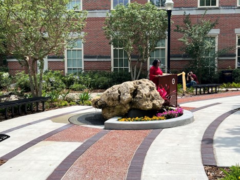 A Growing Legacy: FSU College of Medicine Chapman Garden