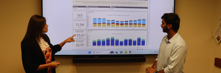 Energy Engineering Services