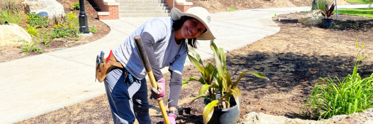 Grounds & Landscaping