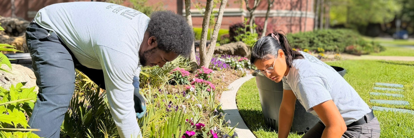 Grounds & Landscaping