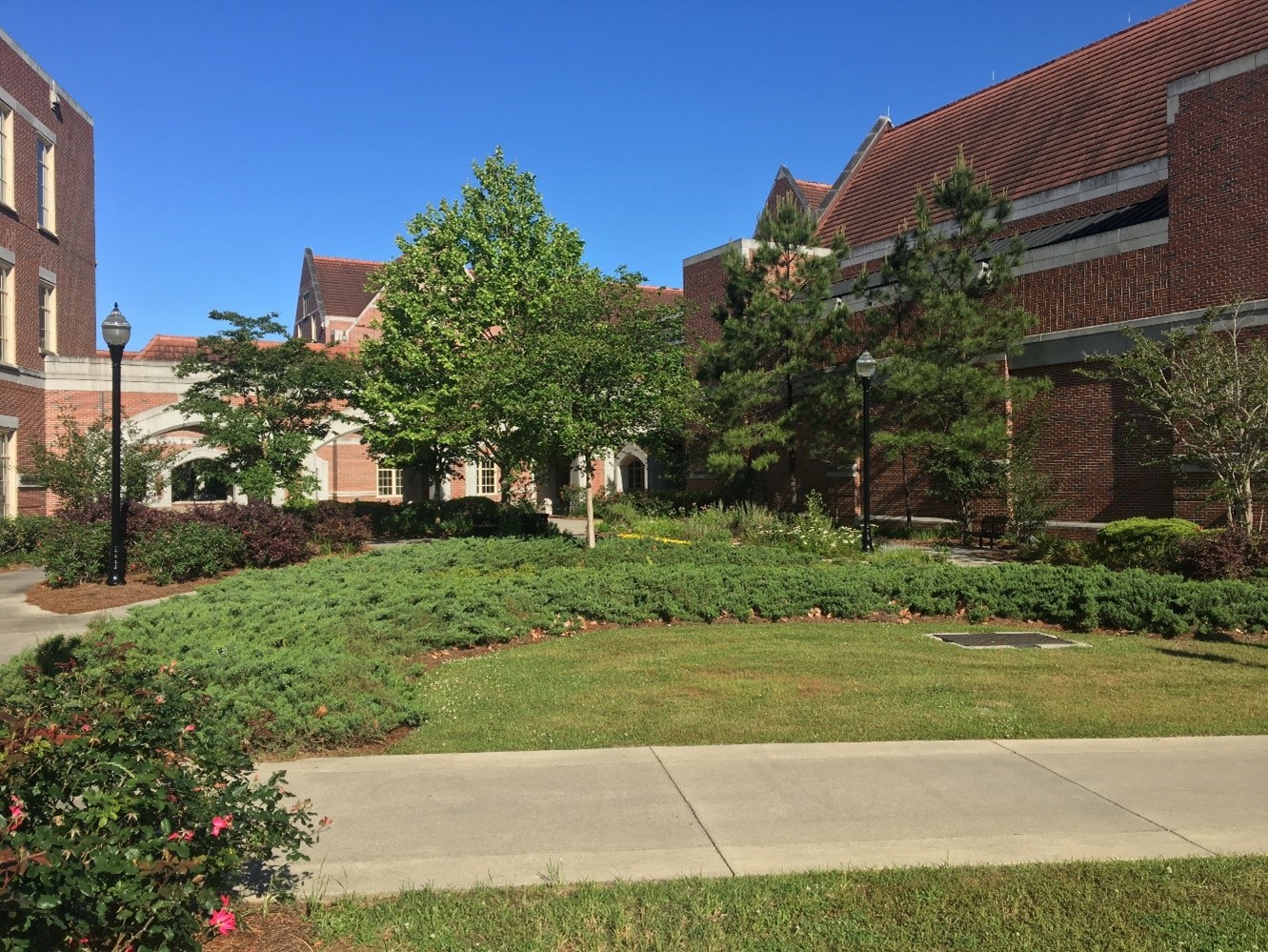 the reflective area between two primary buildings
